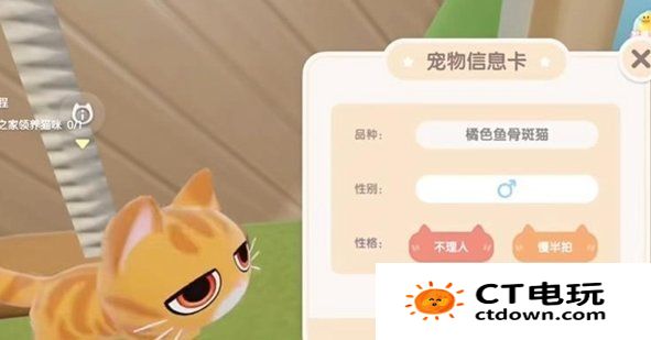 《心动小镇》怎么养猫 《心动小镇》养猫玩法介绍