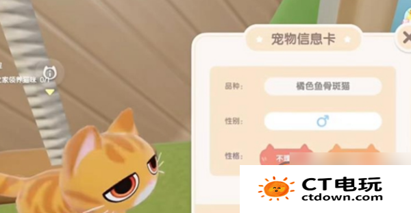 心动小镇养猫怎么养 心动小镇养猫攻略